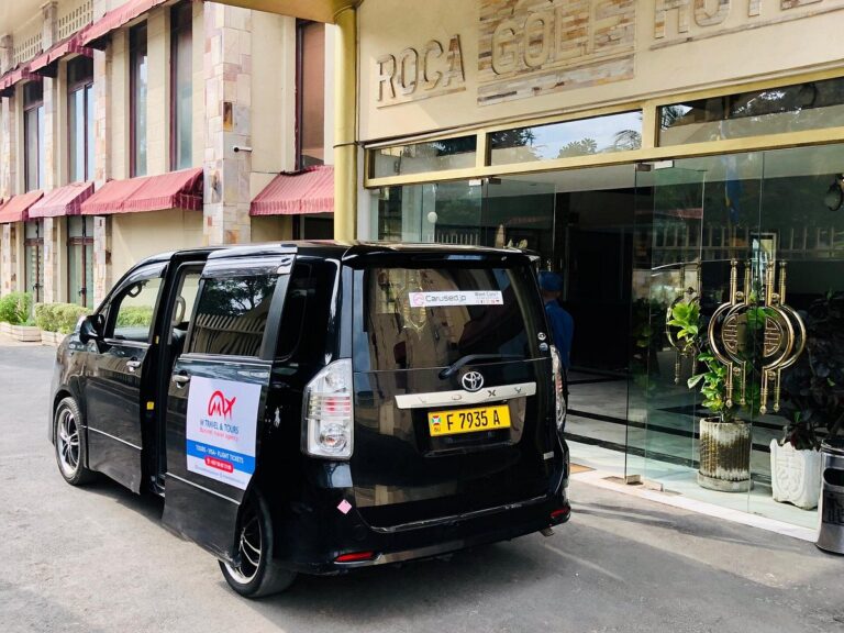 Airport pick-up or drop service